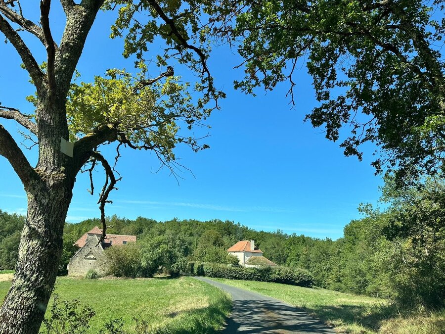 Le chemin vers la maison à Dégagnac, entouré de chênes.